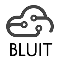 Blu.it srl